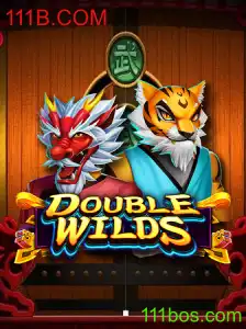 Descubra o Fascinante Mundo de DoubleWilds: Regras e Inovações